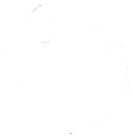 NetFixBG